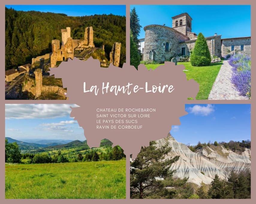 Le Lagon Bleu - Appt Wifi Parking Balcon Le Puy-en-Velay المظهر الخارجي الصورة